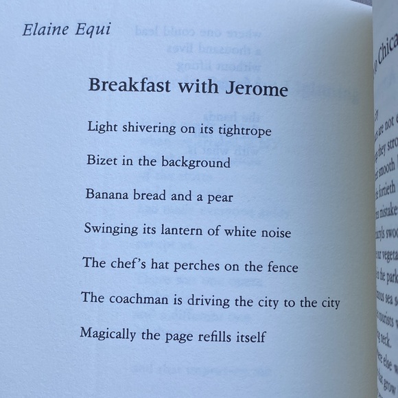 Walk On The Wild Side: Urban American Poetry Since 1975 (paperback) - Picture 4 of 8